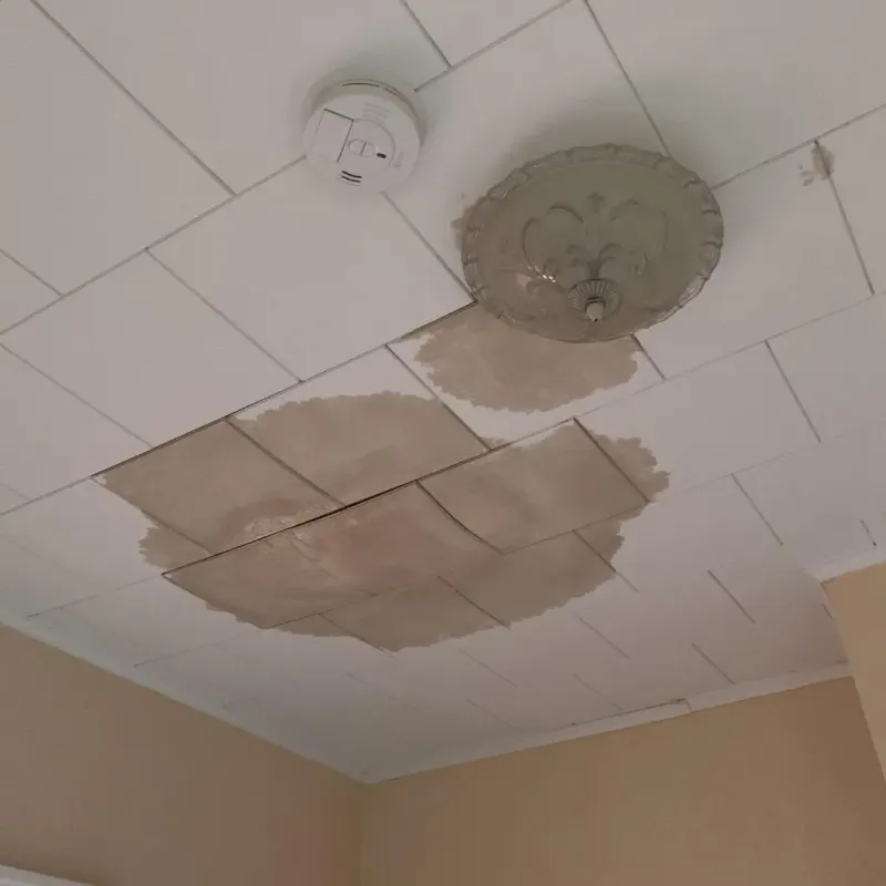 Ceiling Water Damage Repair in Arlington, TX