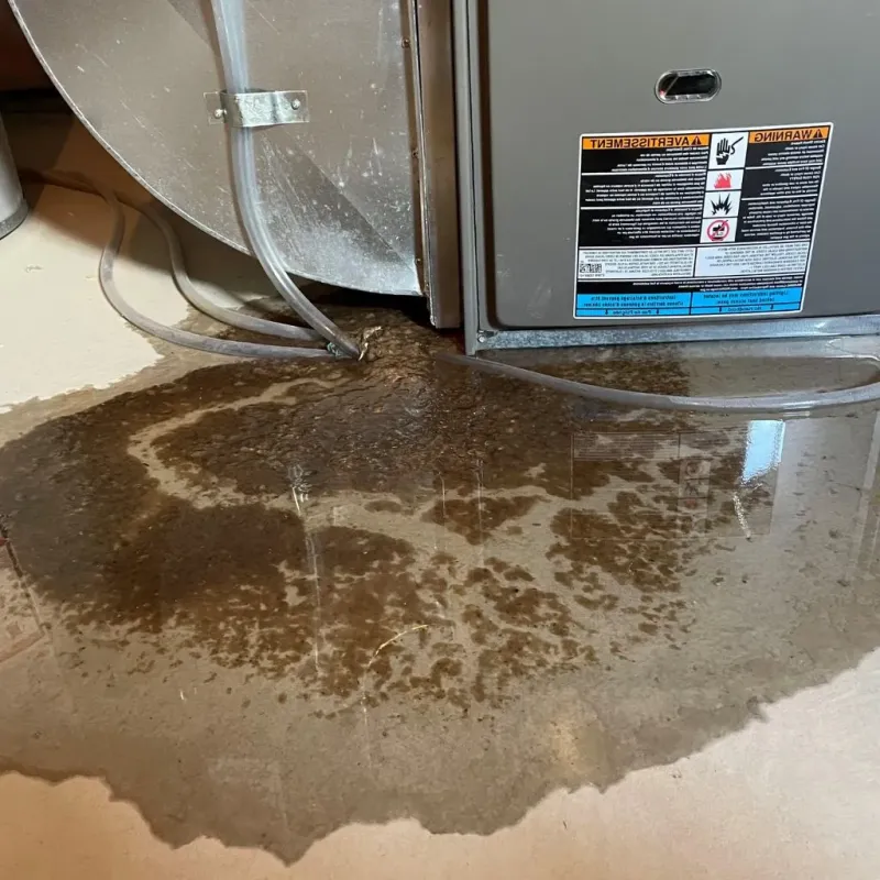 Pipe Burst and Leak Restoration in Arlington, TX